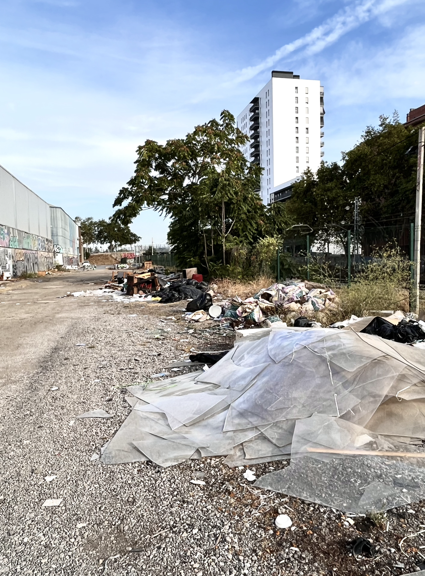 Imatge pels mitjans: Nateja i control de residus a l'Avinguda Ferrocarril