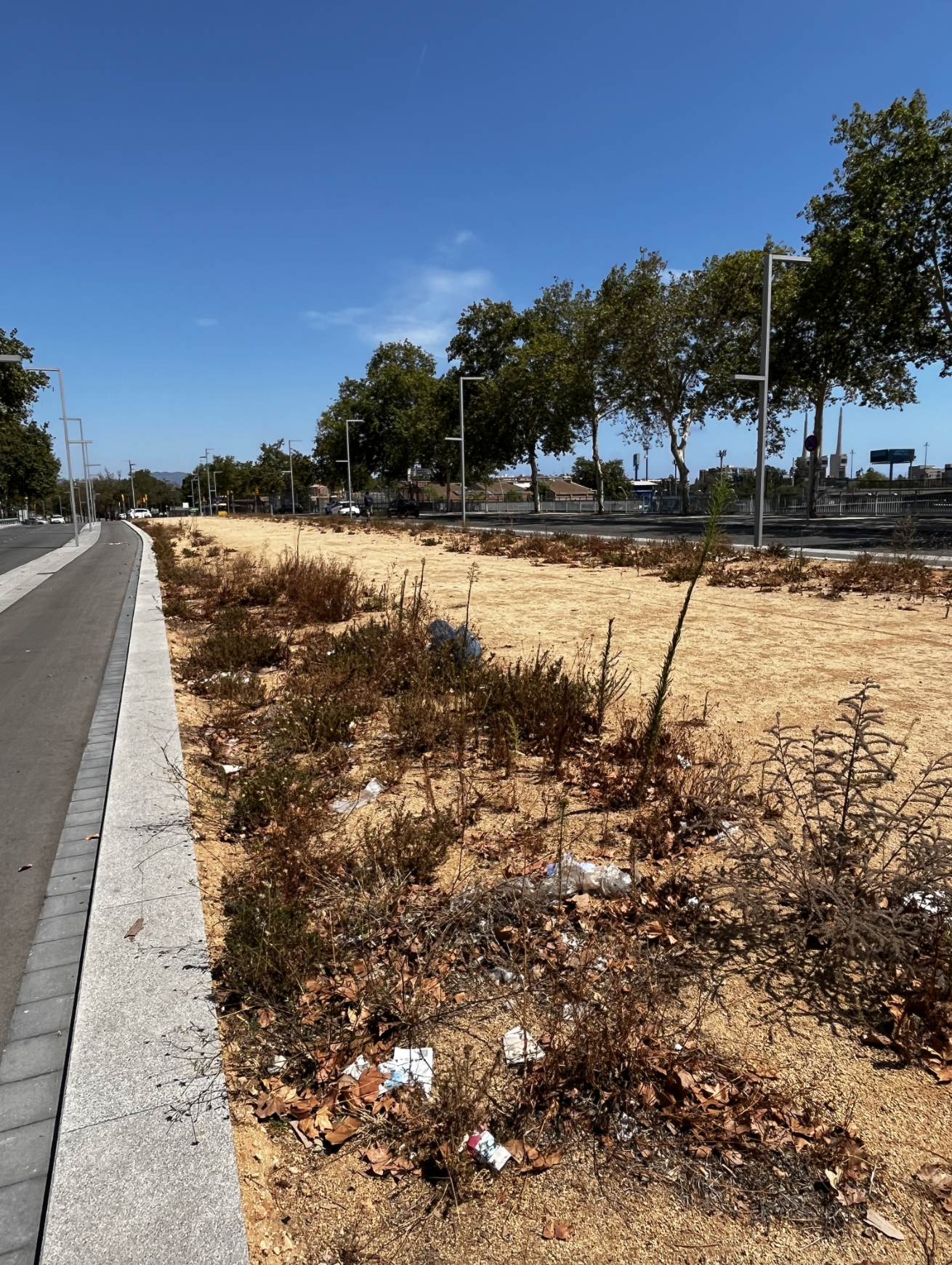 Imagen para los medios: Intervenció, neteja i millora de la Rambla Guipúscoa
