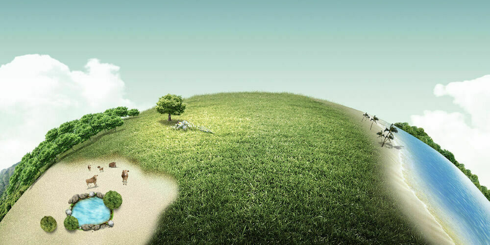 Imagen para los medios: Consell Municipal del Medi Ambient