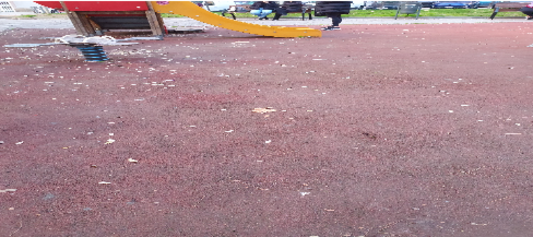 parque2.png