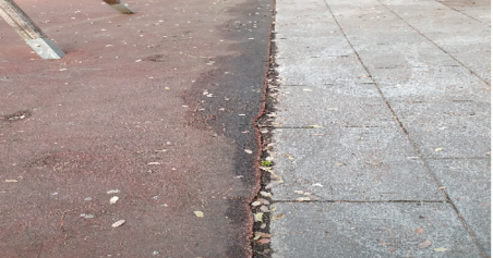 parque1.png