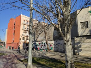 IMG_20230201_111337.jpg